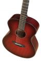 Breedlove Oregon Concert Manzanita