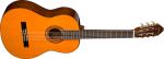 Washburn Classical Series | C5