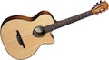 LAG TN66ACE Auditorium Nylon Cutaway Acoustic/Electric