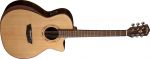 Washburn Comfort WCG20 SCE