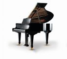 Young Chang Baby Grand EP